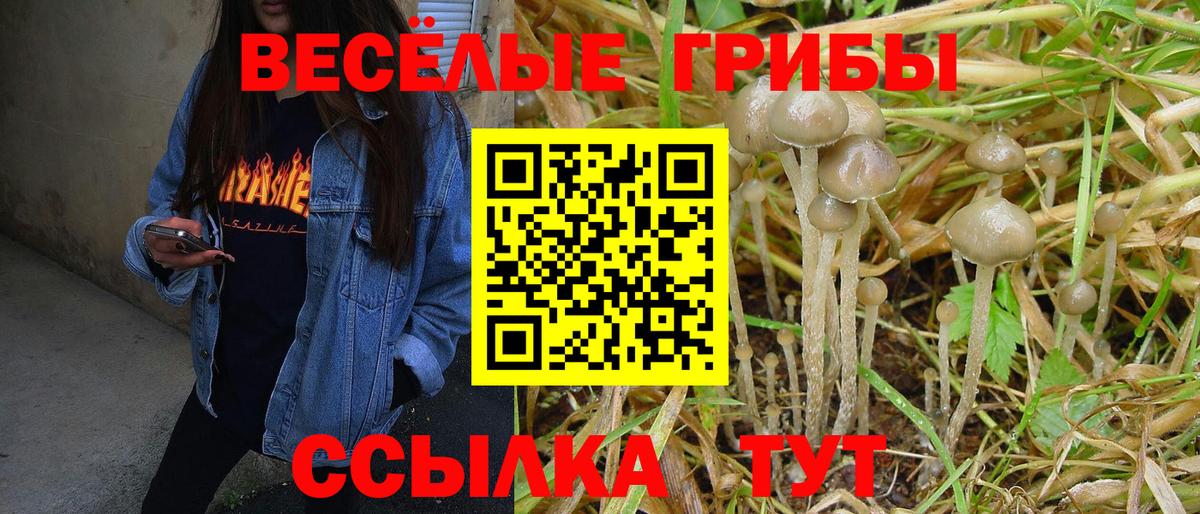 Псилоцибиновые грибы мицелий Пугачёв